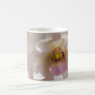 White and pink orchid flower on blurred background kaffeetasse