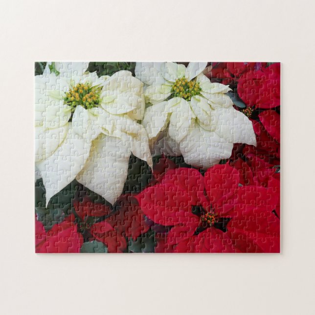 White and Red Poinsettias II Weihnachtsfeiertage (Horizontal)