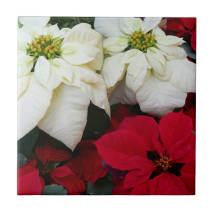 White and Red Poinsettias II Weihnachtsfeiertage Fliese