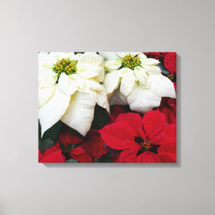 White and Red Poinsettias II Weihnachtsfeiertage Leinwanddruck