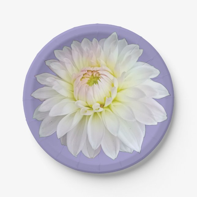White and yellow flower pappteller (Vorderseite)