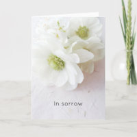 White Anemones on textur Sympathy