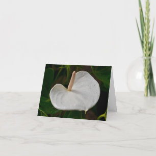 White Anthurium Note Card Karte