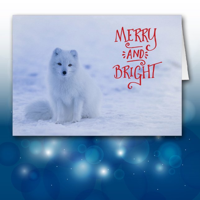 White Arctic Fox Weihnachtskarte (Von Creator hochgeladen)