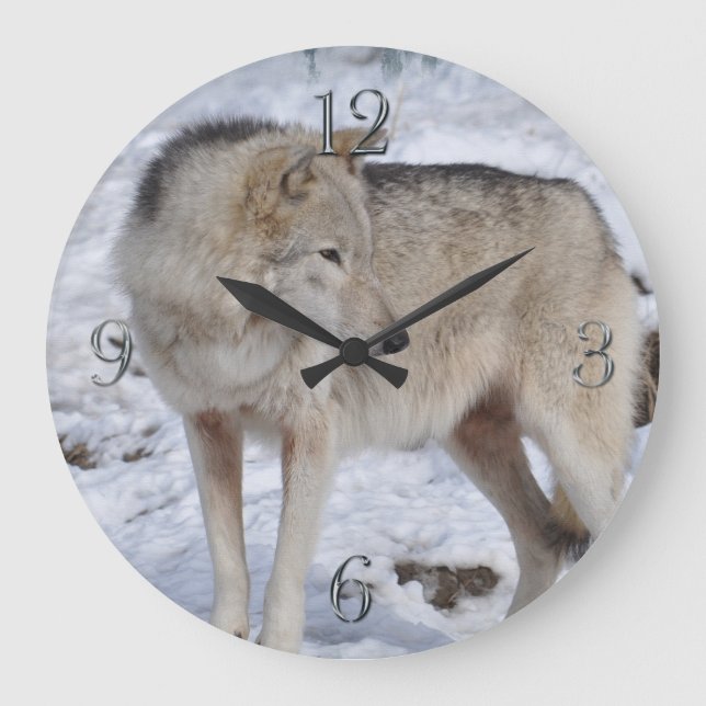 White Arctic Wolf and Snow Wildlife Art Clock Große Wanduhr (Vorderseite)