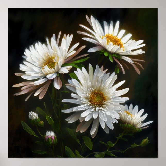 White Aster Blumen Art Print Poster (Vorne)