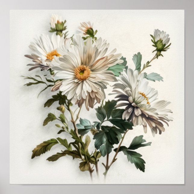 White Aster Blumen Art Print Poster (Vorne)