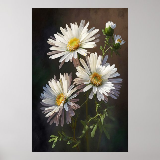 White Aster Blumen Art Print Poster (Vorne)