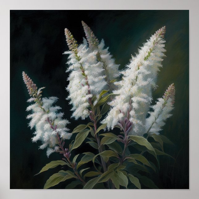 White Astilbe Blumen Art Print Poster (Vorne)
