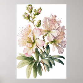 White Azalea Blume Art Print Poster