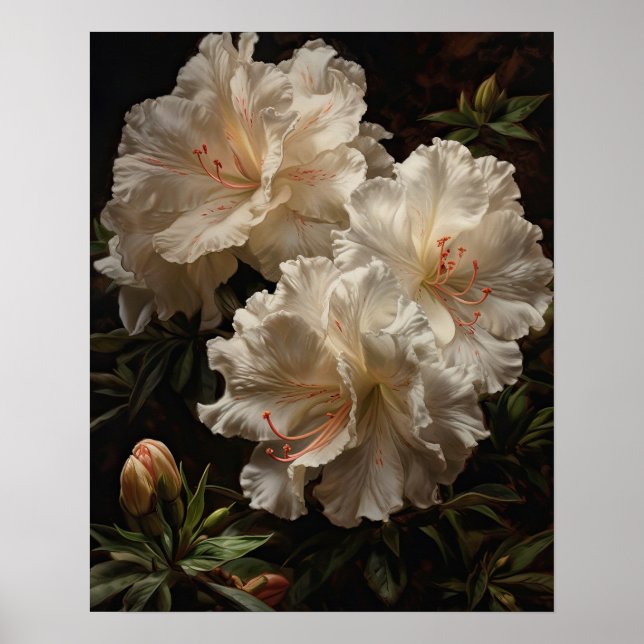 White Azalea Blume Art Print Poster (Vorne)