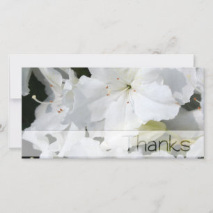 White Azalea Vielen Dank für Ihre Fotokarte Dankeskarte