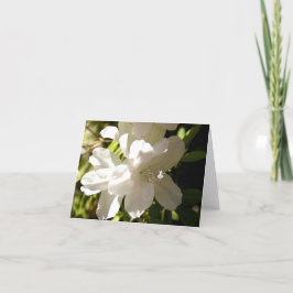 White Azalia Shadow Fairy Karte