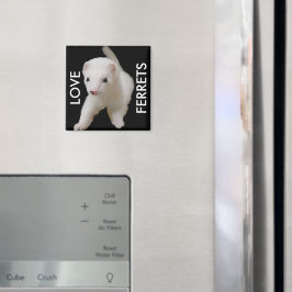 White Baby Ferret Magnet