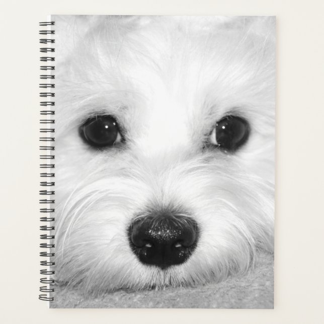 White Beauty Maltese Mama Planer (Vorderseite)