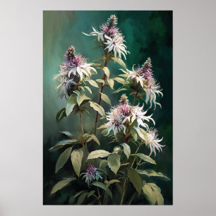 White Bee Balm Blume Art Print Poster