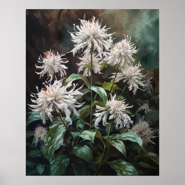 White Bee Balm Blume Art Print Poster (Vorne)