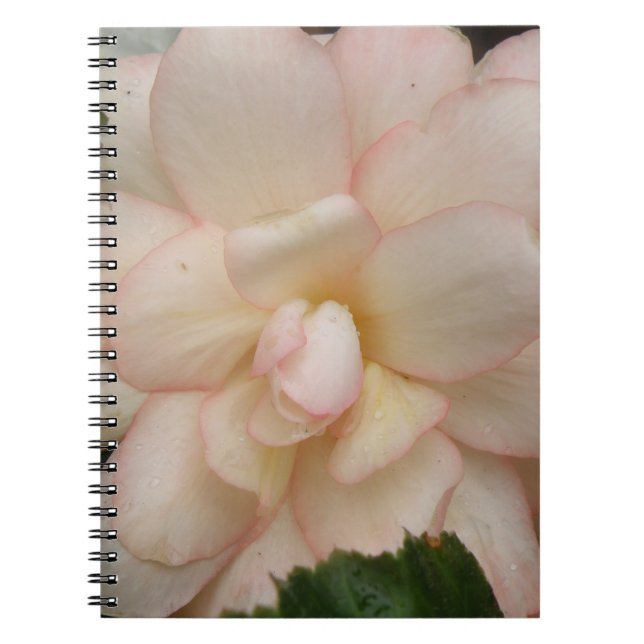 White Begonia Blume Notebook Notizblock (Vorderseite)