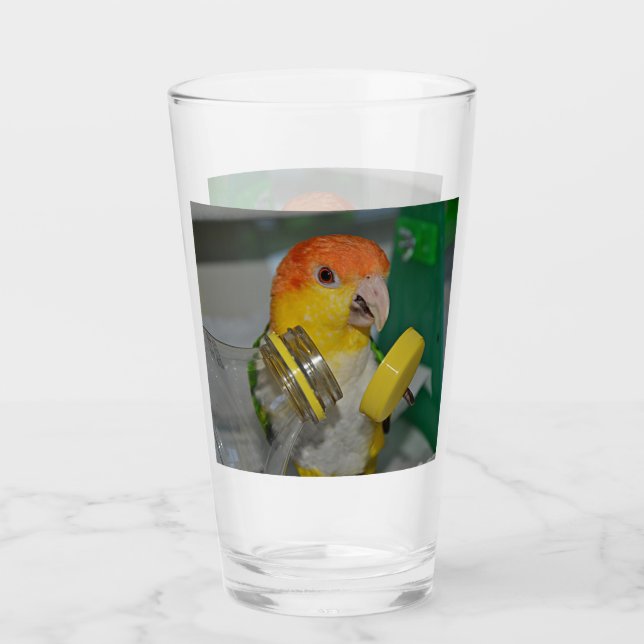 White Bellied Caique Parrot Playing Glas (Vorderseite)