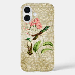White Bellied Mountain Gem Hummingbird title_seo2