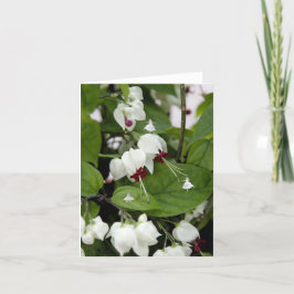 White Bells Shadow Fairies Karte