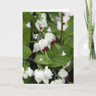 White Bells Shadow Fairies Karte