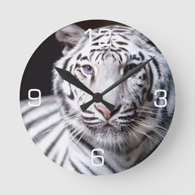 White Bengal Tiger Photography Runde Wanduhr (Vorderseite)
