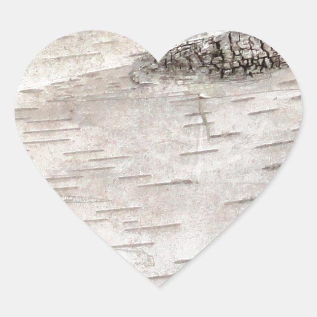 White Birch Bark Herz-Aufkleber (Vorderseite)