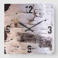 White Birch Bark
