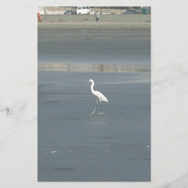 White Bird auf grauem Sand Beach Art Print Briefpapier (Vorderseite)