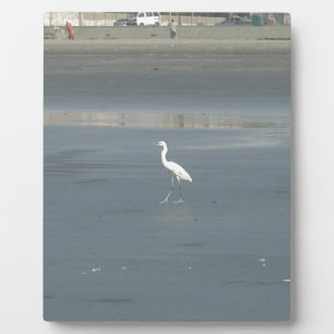 White Bird auf grauem Sand Beach Art Print Fotoplatte