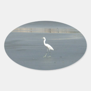 White Bird auf grauem Sand Beach Art Print Ovaler Aufkleber