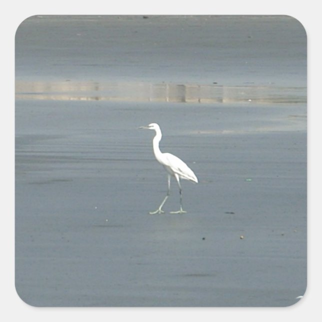 White Bird auf grauem Sand Beach Art Print Quadratischer Aufkleber (Vorderseite)