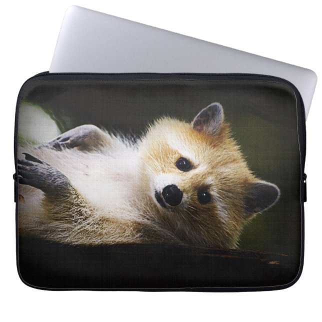 White Blond Raccoon Wildlife Süße Tier Laptopschutzhülle (Vorderseite)