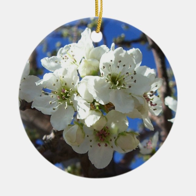 White Blossom Cluster Frühlingsblühende Birnbaum Keramikornament (Vorne)