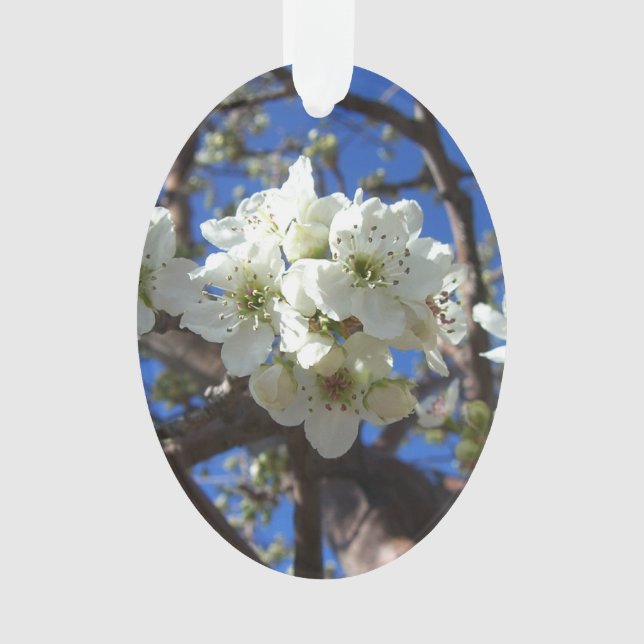 White Blossom Cluster Frühlingsblühende Birnbaum Ornament (Vorderseite)