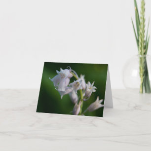 White Bluebell Note Card Karte
