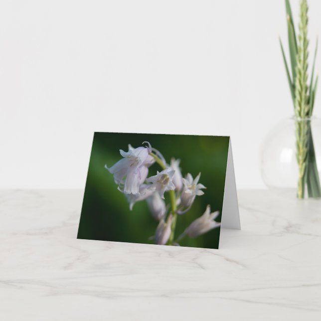 White Bluebell Note Card Karte (Vorderseite)
