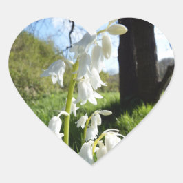 White Bluebells Stickers