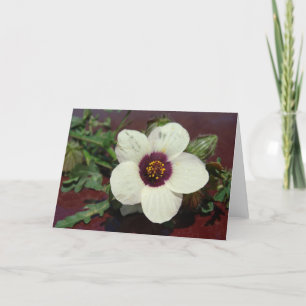 White Blume Still Life jedes Anlasses Karte