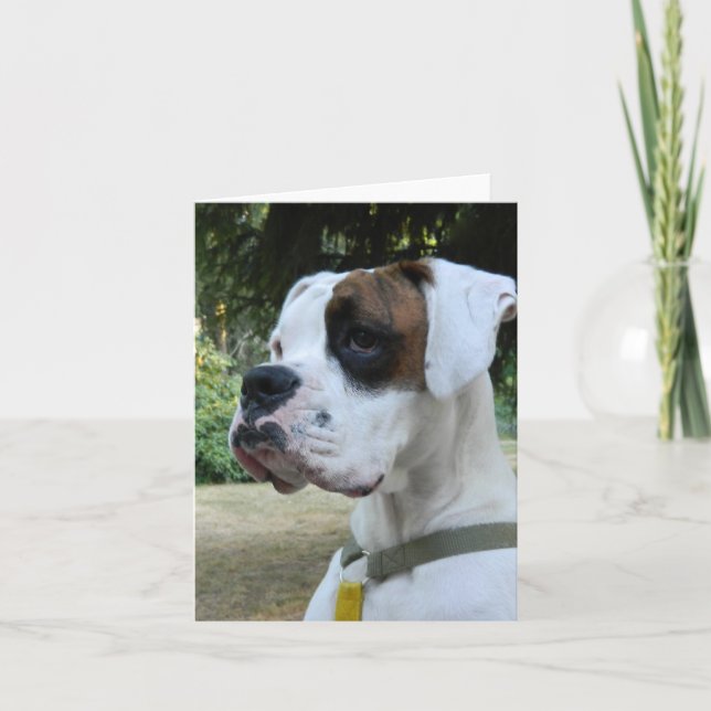 White Boxer Dog Portrait Karte (Vorderseite)