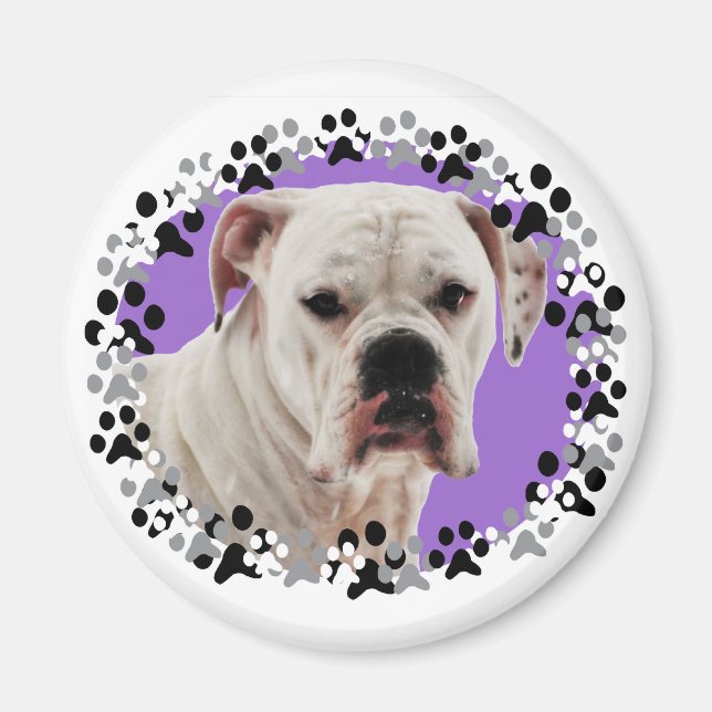 White Boxer Foto Magnet (Vorne)