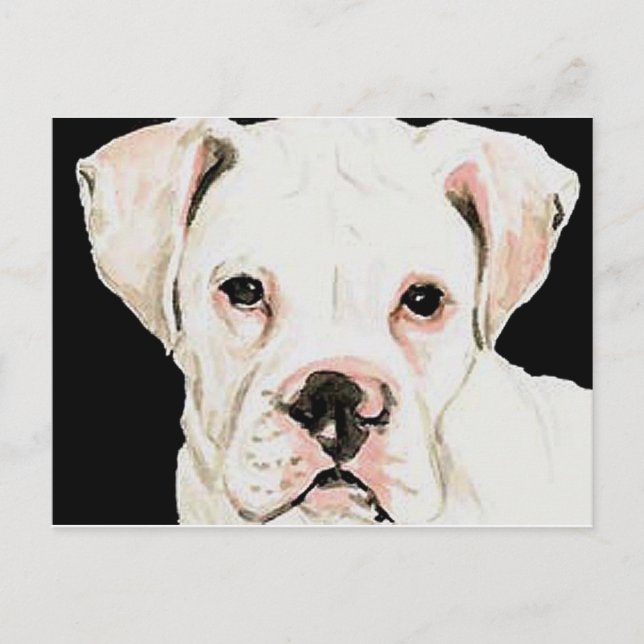 White Boxer Original Hund Postkarte (Vorderseite)