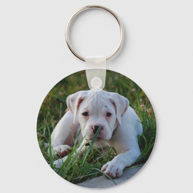 White Boxer Welpe Schlüsselanhänger (Vorderseite)