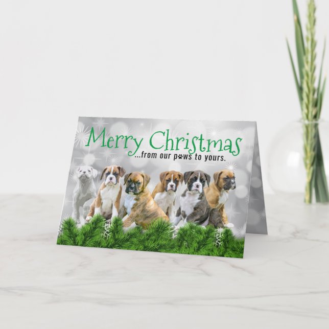 White Boxer Welpen - Frohe Weihnachtshunde Dankeskarte (Vorderseite)