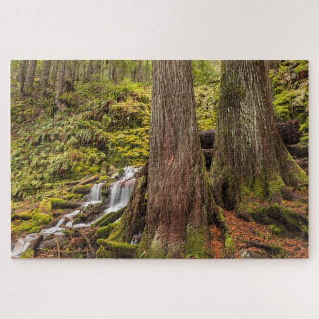White Branch Falls, Oregon Cascades, Oregon (Horizontal)