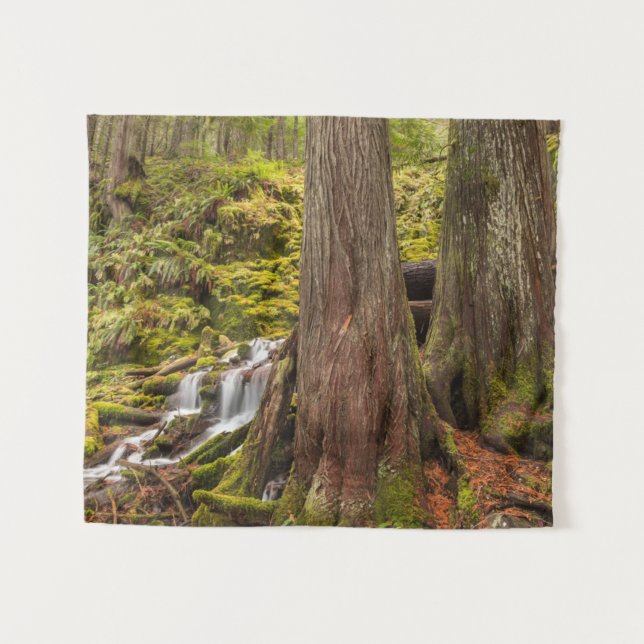 White Branch Falls, Oregon Cascades, Oregon Wandteppich (Vorderseite (Horizontal))