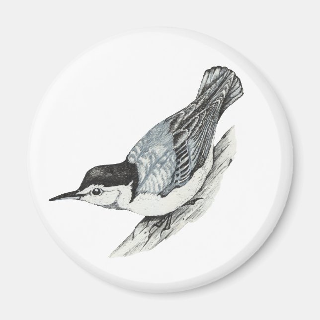 White Breastch Nuthatch Magnet (Vorne)