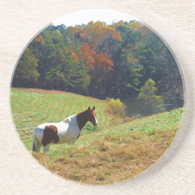 White & Brown horse, Autumn pond Getränkeuntersetzer (Vorne)