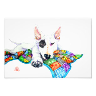 White Bullterer on Patchwork - Kunst Fotodruck